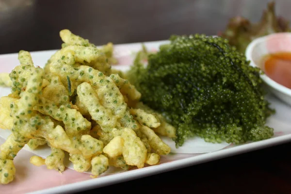 Fried Caulerpa lentillifera est une espèce d'algue bryopsidale — Photo