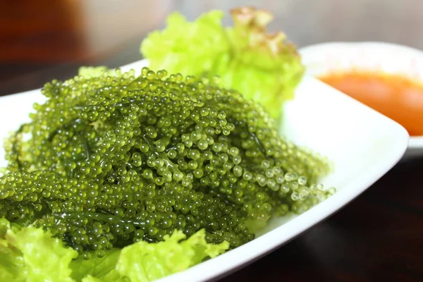 Caulerpa lentillifera é uma espécie de planta com flor pertencente à família Bryopsidale. — Fotografia de Stock