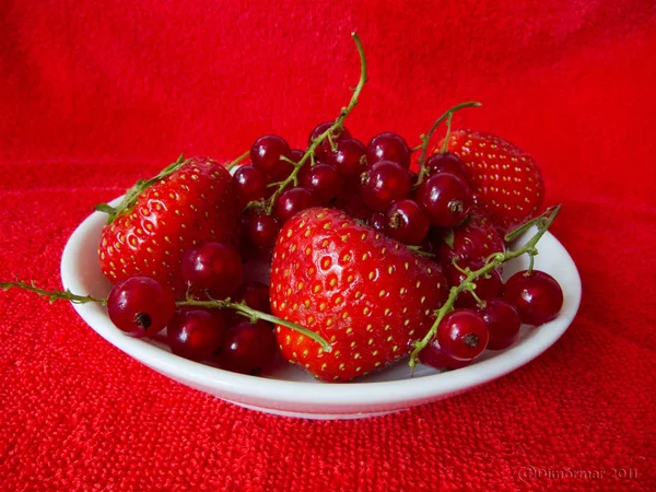 White dish of strawberry and rasberry on red background — Stock Photo, Image