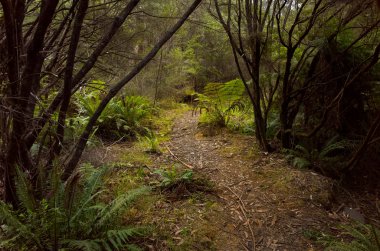 Yolu ile kalın olacak 