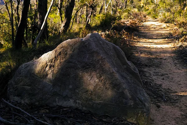 호주 숲에 모 난 바위 — 스톡 사진