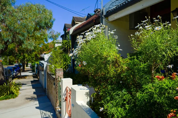 Suburban Street with Houses in Sydney Australia — Stock Photo, Image