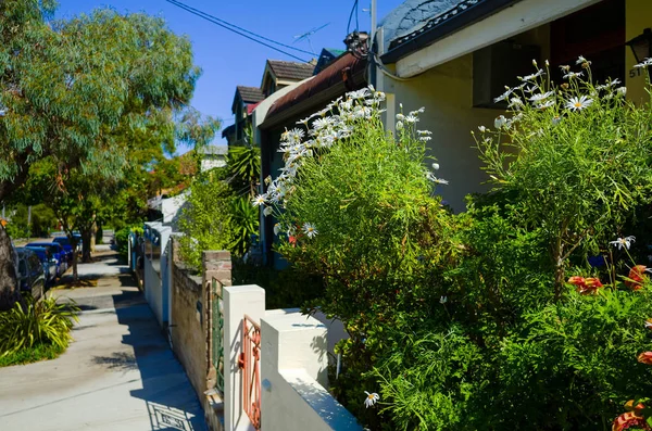 Suburban Street with Houses in Sydney Australia Stock Image