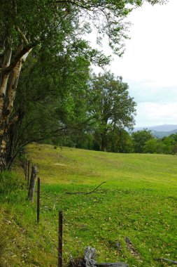 Dağ vadi manzarası, Avustralya
