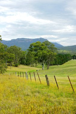 Dağ vadi manzarası, Avustralya