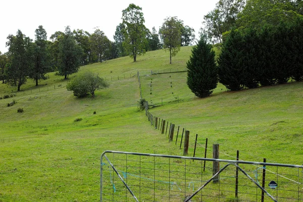 Rural landscape, Australia
