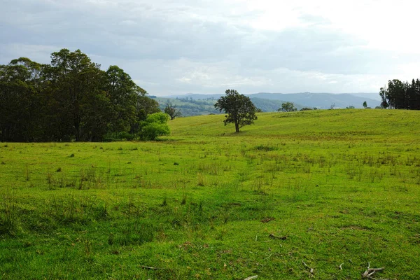 Dağ vadi manzarası, Avustralya