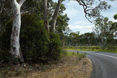 Köy yolunda bir vadide, Avustralya