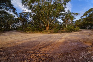 Köy yolunda çamur ile okaliptüs dağ orman, mavi izler