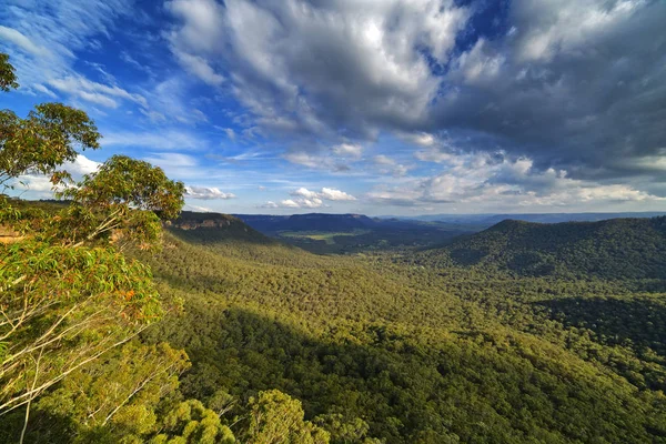 Mitchell's Ridge Lookout, Mount Victoria, Blue Mountains, Austra Stock Photo