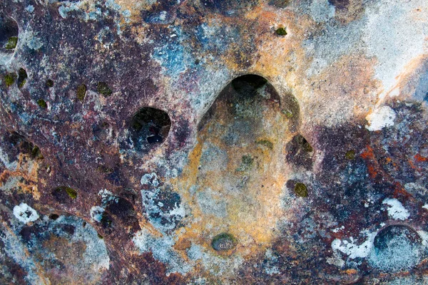 Delik, moss, liken arka plan ile renkli sivri kaya