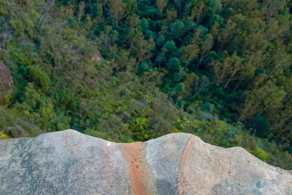 Vue de la falaise rocheuse sur les arbres et les cimes des arbres — Photo