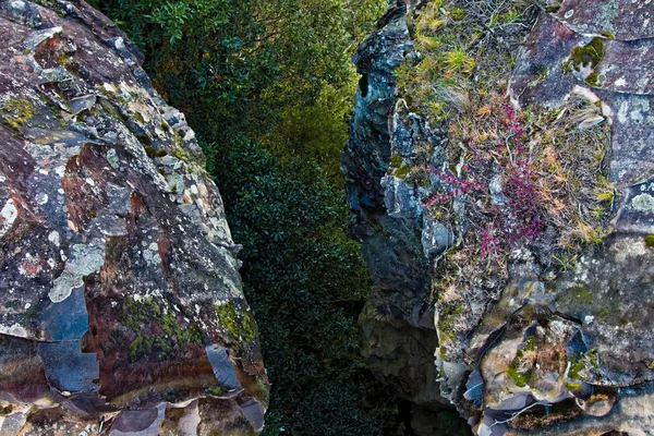 Arbres verts dans le canyon entre deux rochers accidentés — Photo