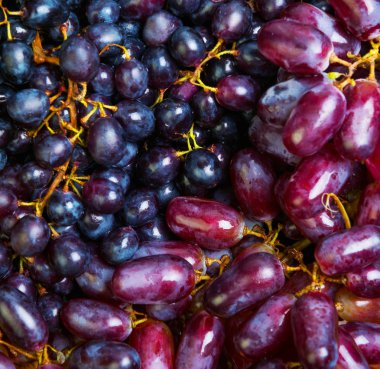 Mavi mor üzüm demet