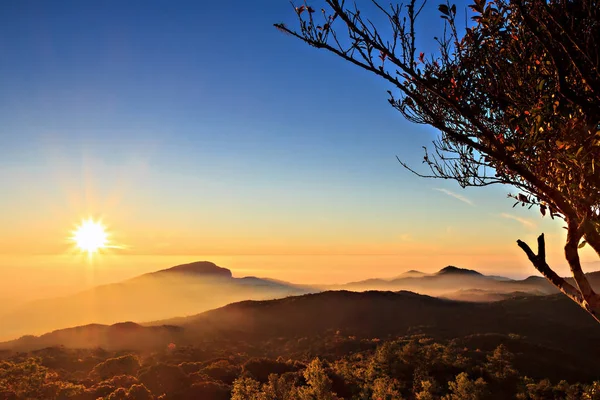 Nascer do sol em Doi Inthanon, Chiang Mai Tailândia — Fotografia de Stock