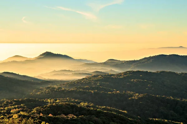 Frühmorgens bei doi inthanon, chiang mai thailand — Stockfoto