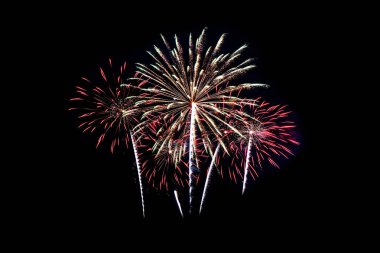 Çeşitli renk siyah arka plan üzerinde renkli havai fişek