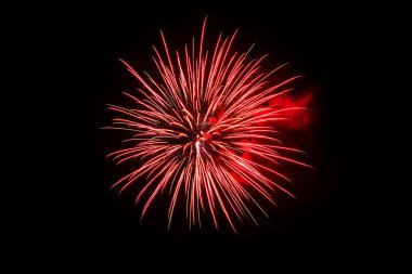 Çeşitli renk siyah arka plan üzerinde renkli havai fişek