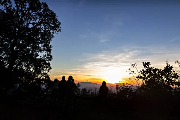 Ihmiset ja puut siluetoituna upealla auringonlaskulla — kuvapankkivalokuva