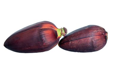 Beyaz arkaplanda yalıtılmış muz çiçeği