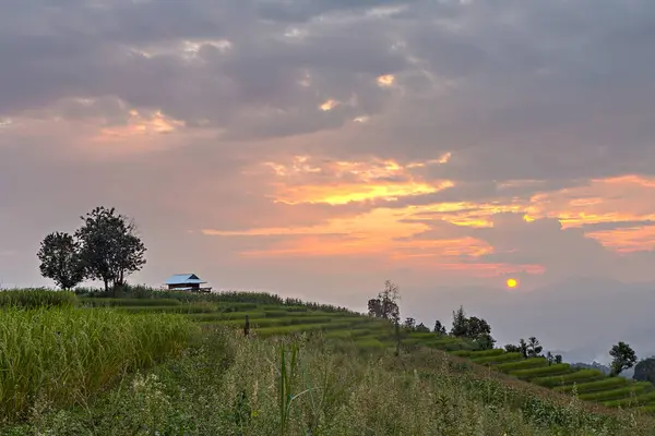 Kunyhó a terasz rizsföldek napnyugta időpontja, a Hdr technikával — Stock Fotó