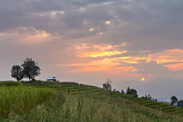 日没時間 Hdr テクニック テラス田んぼの小屋します。 — ストック写真