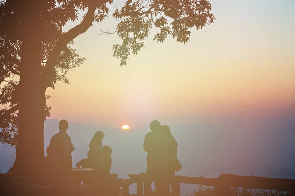 Turist og stort juletre med storslått solnedgang og årgang. – stockfoto