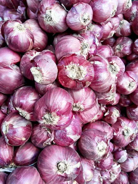 Kazık kırmızı veya mor soğan — Stok fotoğraf