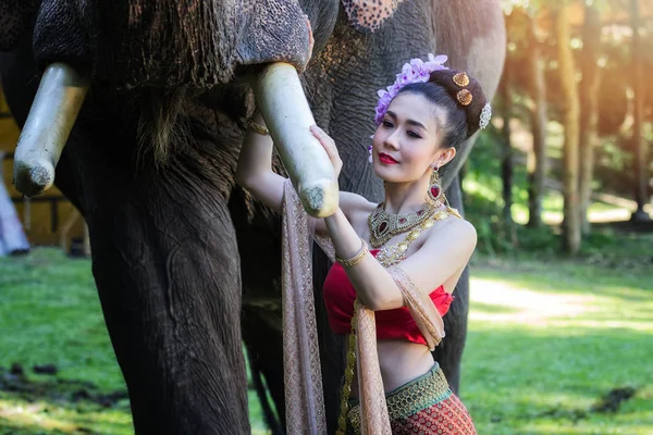 穿着传统泰国人服装的漂亮女孩摸着大象的行李箱 — 图库照片
