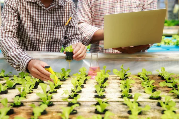 Conceito Tecnologia Agricultura Inteligente Farmer Ckecking Water Value Organic Hydroponic — Fotografia de Stock