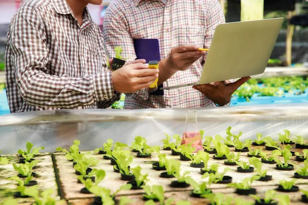 Smart agriculture technology concept - Farmer ckecking water ph value of organic hydroponic red oak in plant nursery farm. Smart agriculture