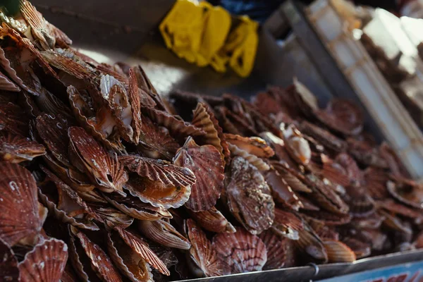 Pesce fresco capesante assortimento di frutti di mare al mercato del pesce. Tonica — Foto Stock