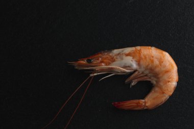 Siyah arka plan üzerine karides. Lezzetli deniz ürünleri meze haşlama veya ızgara baharatlar ile servis. Yakın çekim. Üstten Görünüm