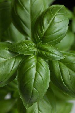 Makarna ham closeup arka plan. Geleneksel İtalyan mutfağı yemek için lezzetli kuru pişmemiş madde. Çeşitli şekiller dokulu. Üstten Görünüm. Kopya alanı