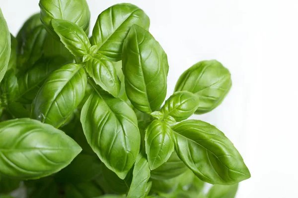 Makarna ham closeup arka plan. Geleneksel İtalyan mutfağı yemek için lezzetli kuru pişmemiş madde. Çeşitli şekiller dokulu. Üstten Görünüm. Kopya alanı