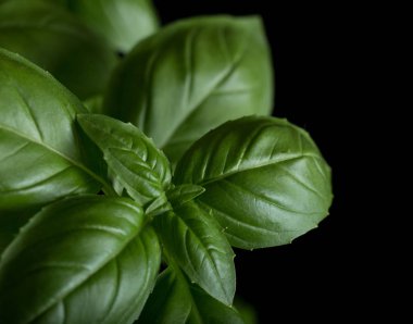 Makarna ham closeup arka plan. Geleneksel İtalyan mutfağı yemek için lezzetli kuru pişmemiş madde. Çeşitli şekiller dokulu. Üstten Görünüm. Kopya alanı