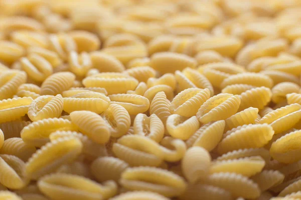 Pasta fundo close-up cru. Delicioso ingrediente seco não cozido para pratos tradicionais da cozinha italiana. Formas de variedade texturizadas. Vista superior. Espaço de cópia — Fotografia de Stock