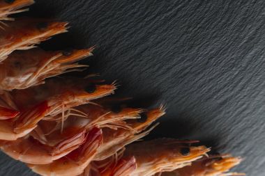 Siyah arka plan üzerine karides. Lezzetli deniz ürünleri meze haşlama veya ızgara baharatlar ile servis. Yakın çekim. Üstten Görünüm