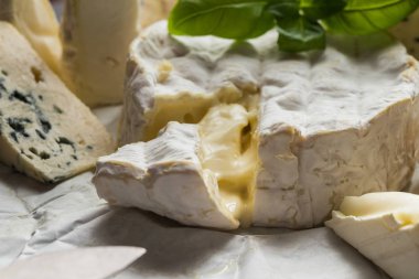 Tablo arka plan üzerinde çeşitli peynir. Çeşitli sıralar için iştah açıcı, gurme, lezzetli aperatifler. Öğle ve akşam yemekleri closeup şarap için geleneksel Fransız yemeği. Camembert, Roquefort