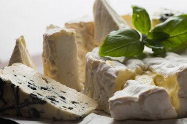 Tablo arka plan üzerinde çeşitli peynir. Çeşitli sıralar için iştah açıcı, gurme, lezzetli aperatifler. Öğle ve akşam yemekleri closeup şarap için geleneksel Fransız yemeği. Camembert, Roquefort