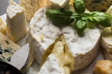 Tablo arka plan üzerinde çeşitli peynir. Çeşitli sıralar için iştah açıcı, gurme, lezzetli aperatifler. Öğle ve akşam yemekleri closeup şarap için geleneksel Fransız yemeği. Camembert, Roquefort