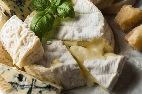 Tablo arka plan üzerinde çeşitli peynir. Çeşitli sıralar için iştah açıcı, gurme, lezzetli aperatifler. Öğle ve akşam yemekleri closeup şarap için geleneksel Fransız yemeği. Camembert, Roquefort