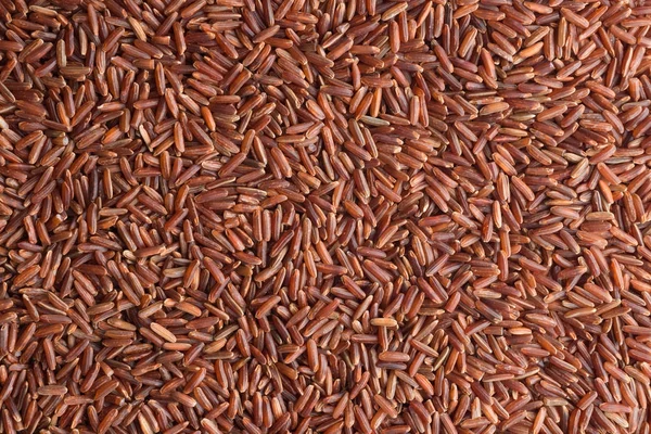 Red rice, grains closeup. Bhutanese. Unpolished, uncooked, natural, diet, raw for traditional asian cuisine, dish. Popular agriculture cereal. Texture pattern background, copy space — Stock Photo, Image