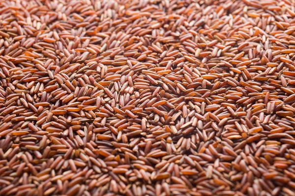 Red rice, grains closeup. Bhutanese. Unpolished, uncooked, natural, diet, raw for traditional asian cuisine, dish. Popular agriculture cereal. Texture pattern background, copy space — Stock Photo, Image