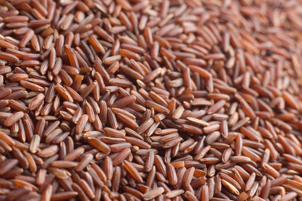 Red rice, grains closeup. Bhutanese. Unpolished, uncooked, natural, diet, raw for traditional asian cuisine, dish. Popular agriculture cereal. Texture pattern background, copy space — Stock Photo, Image