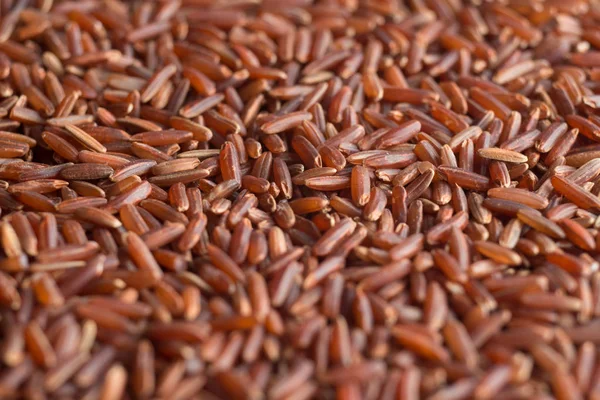 Red rice, grains closeup. Bhutanese. Unpolished, uncooked, natural, diet, raw for traditional asian cuisine, dish. Popular agriculture cereal. Texture pattern background, copy space