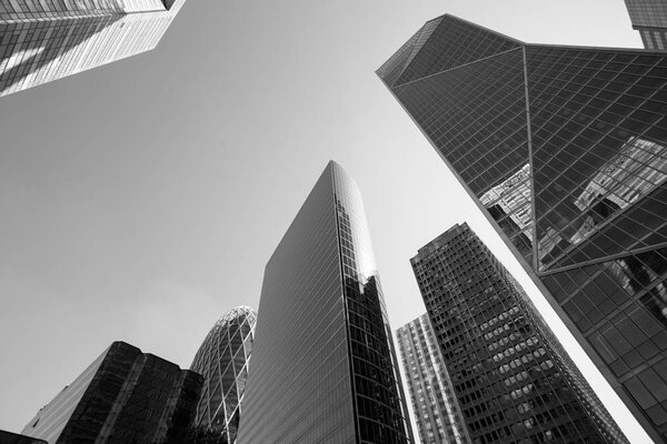 Skyscrapers in Paris business district La Defense. Cityscape with glass facades of modern buildings on a sunny day. Urban architecture, city life. Economy, financial activity concept. Black and white.
