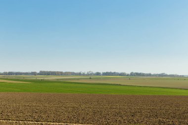 Normandy, Fransa için tarım alanları bir güneşli bahar gününde. Kırsal manzara