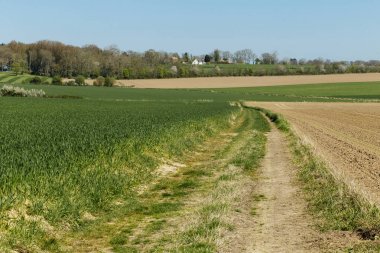 Tarım alanları ve güneşli bir bahar günü toprak yolda Normandy, Fransa için. Kırsal manzara