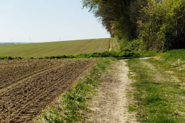 Tarım alanları ve güneşli bir bahar günü toprak yolda Normandy, Fransa için. Kırsal manzara